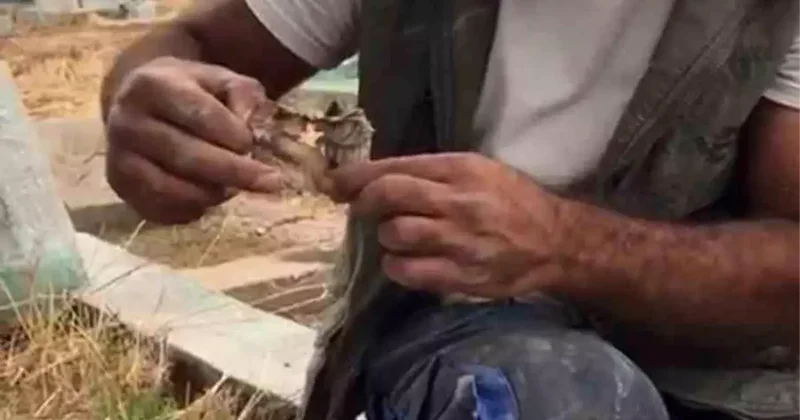 Diyarbakır da Mezarda Büyü İhtimali