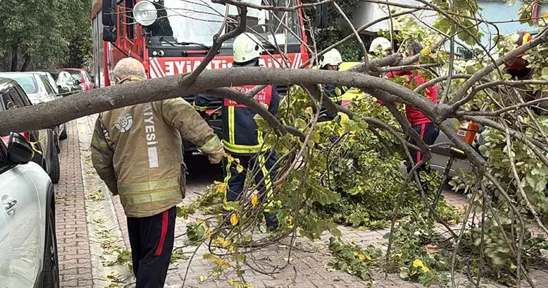 Beşiktaş ve Şişli’de ağaçla elektrik direği araçların üstüne devrildi