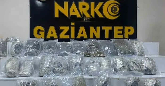 Gaziantep’te 13 kilo skunk ele geçirildi