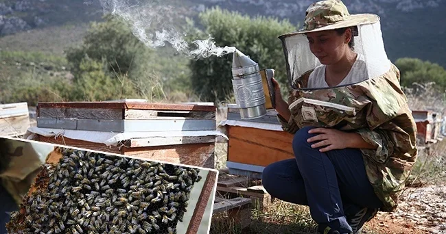 Babasının hediyesiyle başladı! Zehrini üretip dünyaya satacak İçine girdikçe bırakmak imkansız hale geliyor