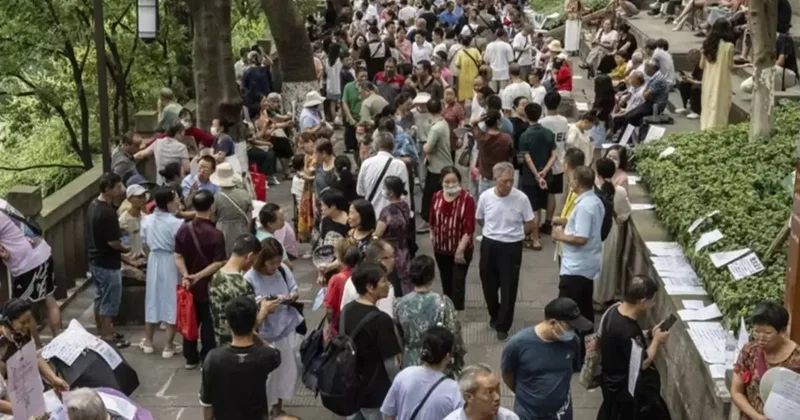 Yüzlerce bekar bu parkta astığı ilanla kendine eş arıyor