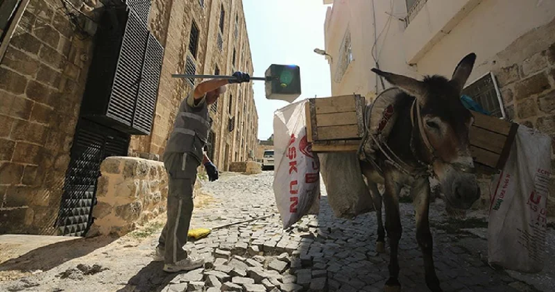 Kadrolu eşekler emekliye ayrılıyor