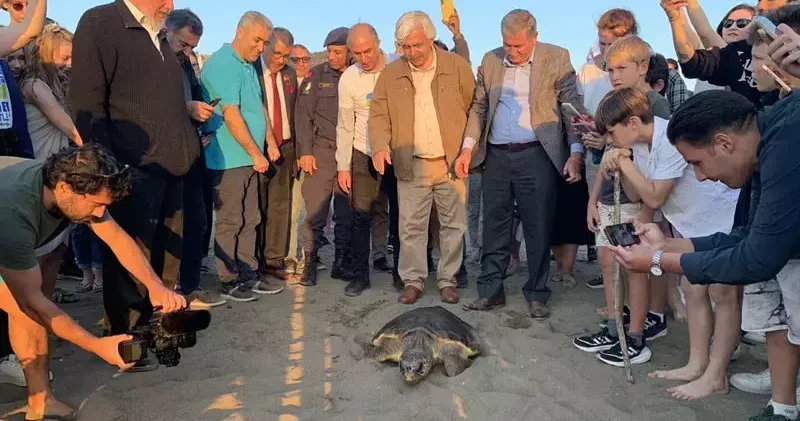 Caretta caretta Cumhuriyet i 5 bin kişi takip etti