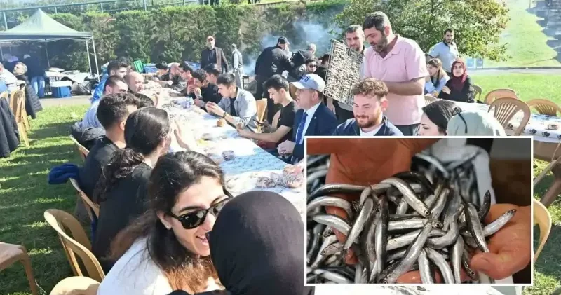 2 saatte 3 ton hamsi yediler Trabzon Haberleri