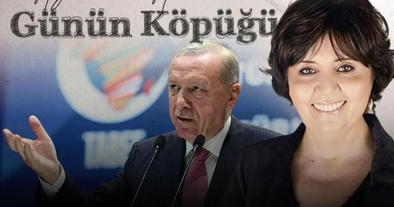 Bu da olmadı be reis!
