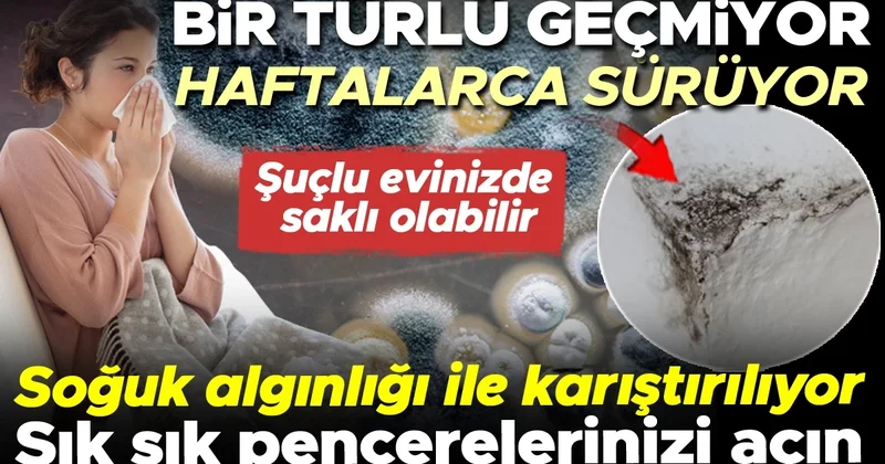 Bir türlü geçmiyor, haftalarca sürüyor! Nedeni evinizde gizlenen ve hiç aklınıza gelmeyen bir detay olabilir!