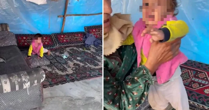 Dehşete düşüren görüntü! Videoyu izleyenler bakanlığı etiketliyor
