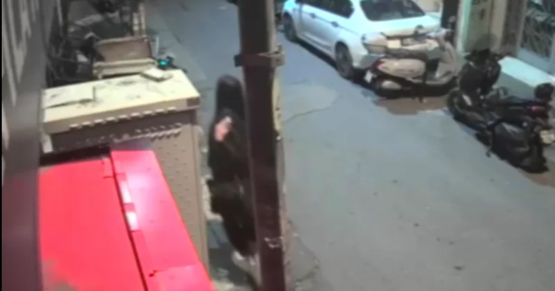 Kazakistanlı Aisulu nun çatıdaki son karesini ev arkadaşı çekmiş: Uyarısına Burada oturacağım, sen uyu yanıtı