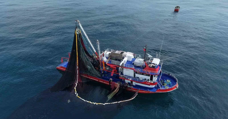 Palamut tezgahta ucuzladı: KTÜ lü uzman gelecek yıl azalma bekliyor