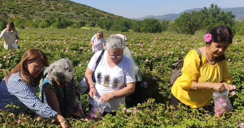 Daha önce 80 liraydı 95 liraya yükseldi: Üreticiye ek ödeme yapılacak Sözcü Gazetesi