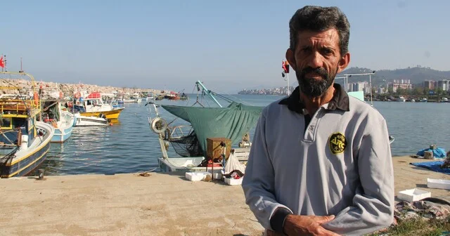 Karadeniz de palamut bolluğu hamsi ve istavrit için risk oluşturuyor Giresun Haber Habertürk Yerel Haberler