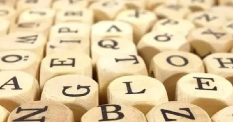 2026 yılının kelimesi belli oldu: Duyan hemen Google a koştu Sözcü Gazetesi