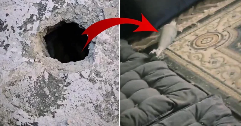 Husiler in ateşlediği havan mermisi, bir evin duvarını delerek içeri düştü