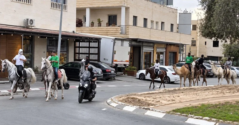 İsrail de seçimlerin en ilginç görüntüsü! Sandık başına deve, at ve eşeklerle gittiler