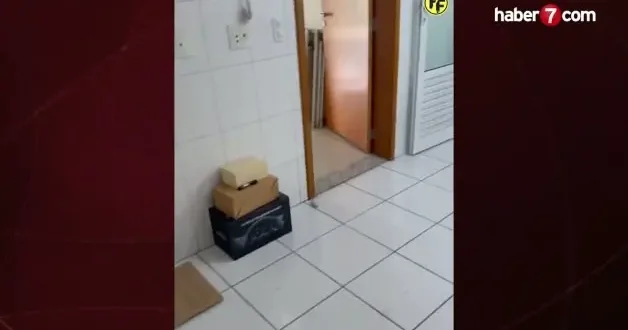 Fenerbahçe nin eski yıldızından yürek burkan açıklama: Bana acımayın!