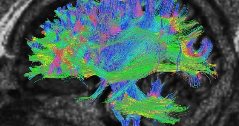 Bu araştırma yaşla ilgili bildiğimiz her şeyi yerle bir etti! 32 yaşında ergenlikten çıkıyor, 66’da ise yaşlanmaya başlıyormuşuz