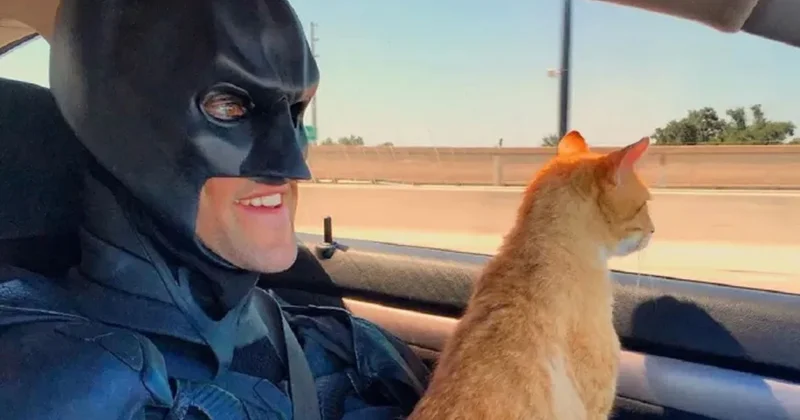 Batman yüzünden kocasına boşanma davası açtı Sözcü Gazetesi