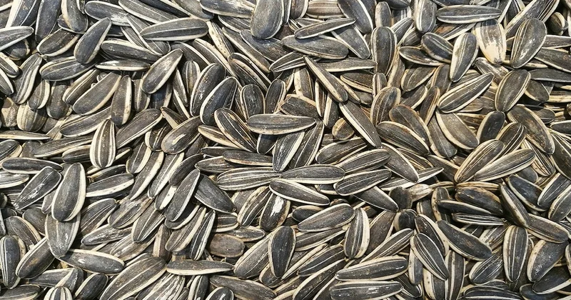 Türk markalı çekirdekler marketlerden kaldırılıyor: İşte nedeni Sözcü Gazetesi