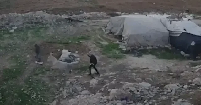 İşgalci yerleşimciler Filistinli ailenin eşeğini çaldı VİDEO İZLE