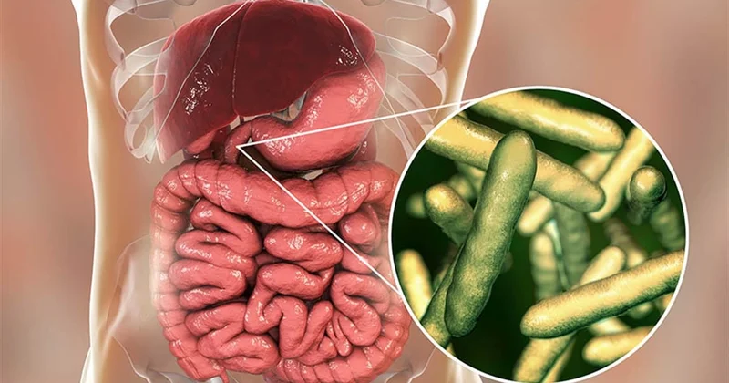 Ölüm oranı en yüksek kanser türlerinden: Türkiye’de 15 milyon yurttaş risk altında