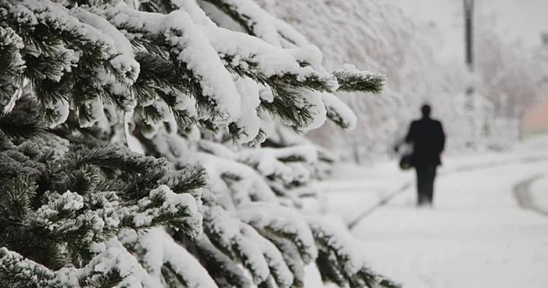Lapa lapa kar yağacak 13 ili açıkladı: Meteoroloji tam tarih verdi