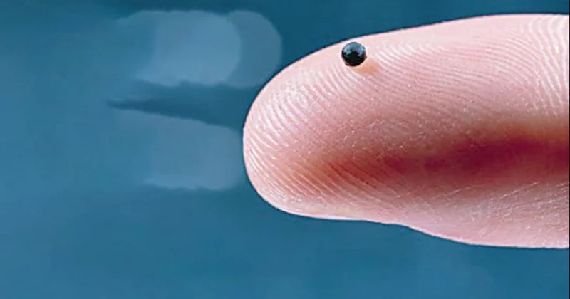 Damara giren şifa taneleri Sözcü Gazetesi