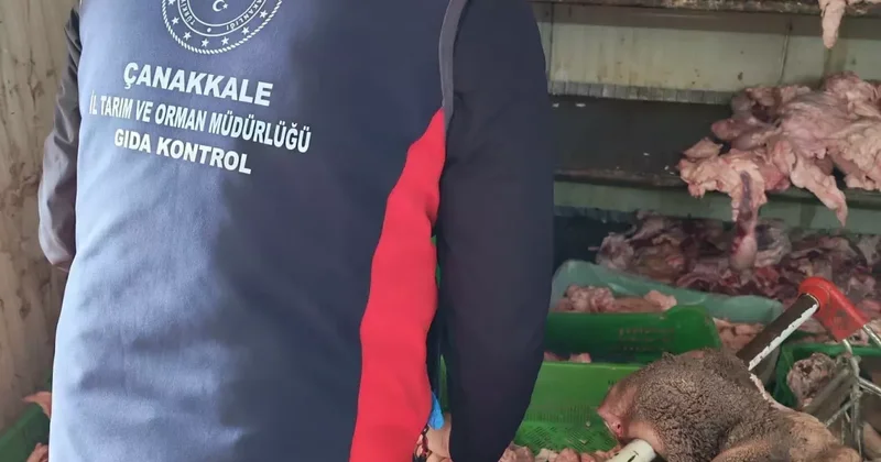 Çanakkale de Gıda Denetimi: Uygunsuz İşletme Mühürlendi