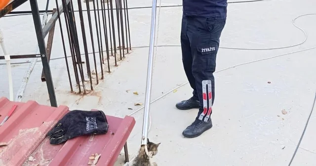 Bacaya sıkışan kediyi itfaiye kurtardı Manisa Haberleri