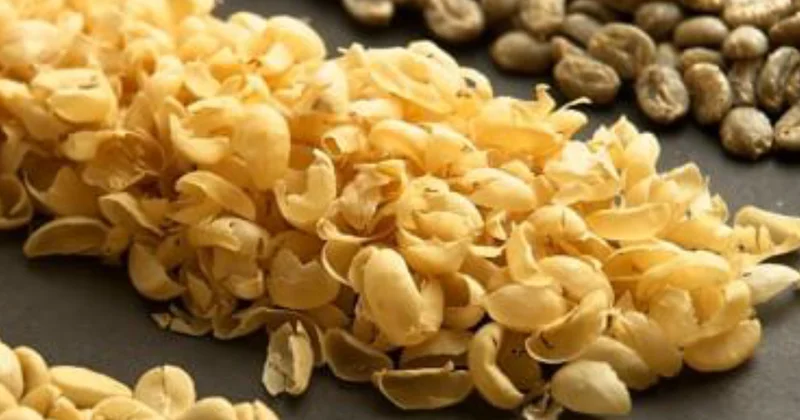 5 yıl boyunca yaşlandırmıyor: Günde 4 fincan içmeniz yeterli Sözcü Gazetesi