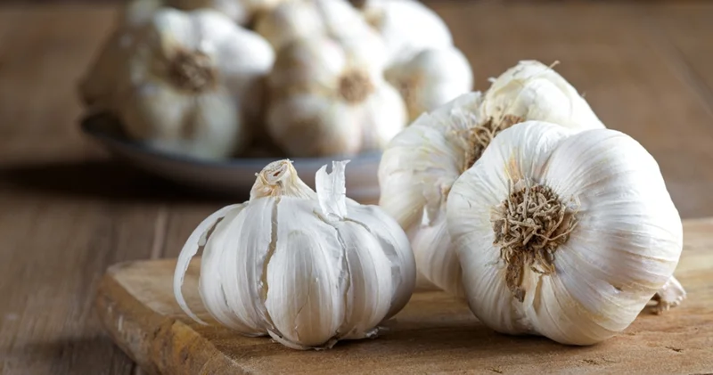 Bağışıklığı güçlendiren 10 önemli uyarı! Haberler Sağlık Haberleri