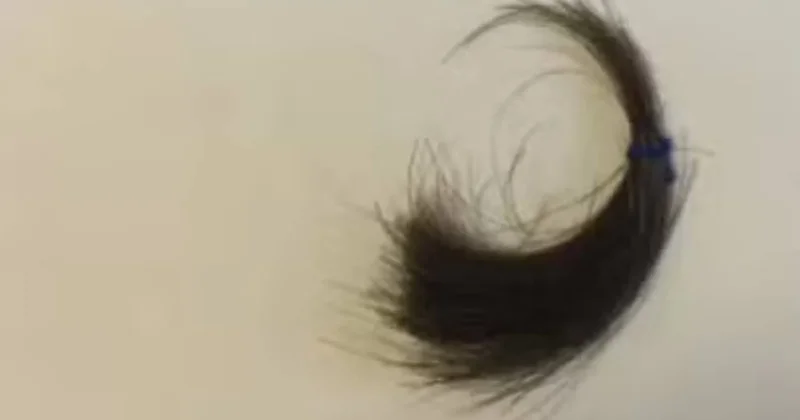 Kralın bir tutam saçı 450 bin liraya satışa çıkarıldı: Dünya bunu konuşuyor Sözcü Gazetesi