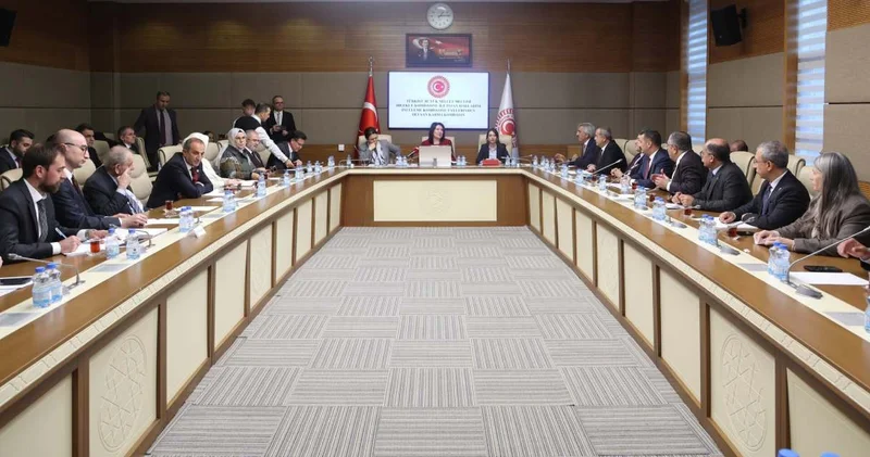 Komisyonda Öcalan ziyareti tartışması