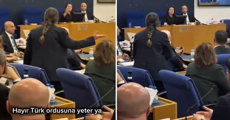 DEM Partili vekilin Tecavüz çıkışı Türkeş in kızını küplere bindirdi