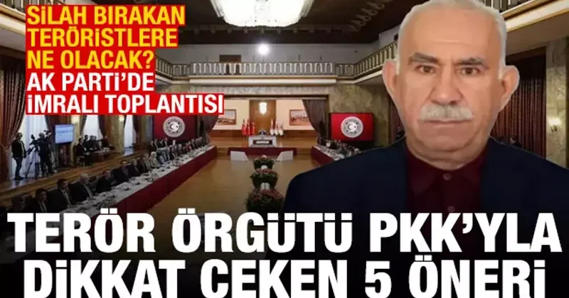 AK Parti de İmralı toplantısı! PKK yla ilgili dikkat çeken 5 öneri