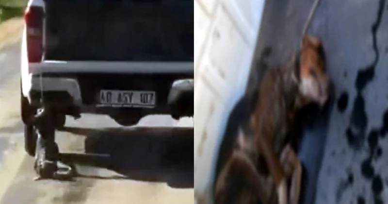 Muğla’yı ayağa kaldıran görüntü: Araçla sürükleyerek öldürdü Sözcü Gazetesi