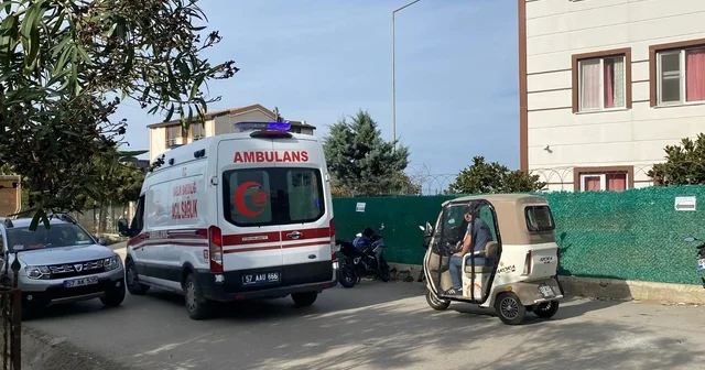 Sinop ta ağaç budarken düşen vatandaş yaralandı Sinop Haberleri