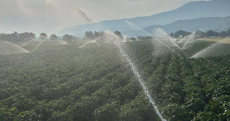 İstanbul’da gıda ve su israfı paneli: Dünya tarım bakanları bir araya geliyor