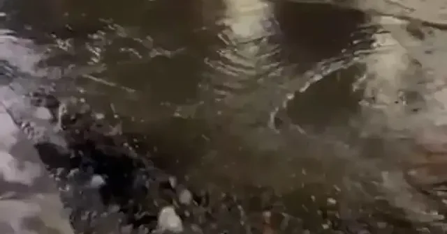 AK Partili Murat Türkyılmaz paylaştı: Barajlar alarm verirken temiz su saatlerce boşa aktı VİDEO İZLE