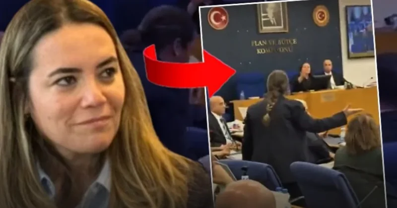 DEM li vekilin Meclis teki sözleri Türkeş in kızını çıldırttı Sözcü Gazetesi