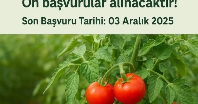 Muradiye de Domates Yetiştiriciliği projesi için ön başvurular başladı Van Haberleri