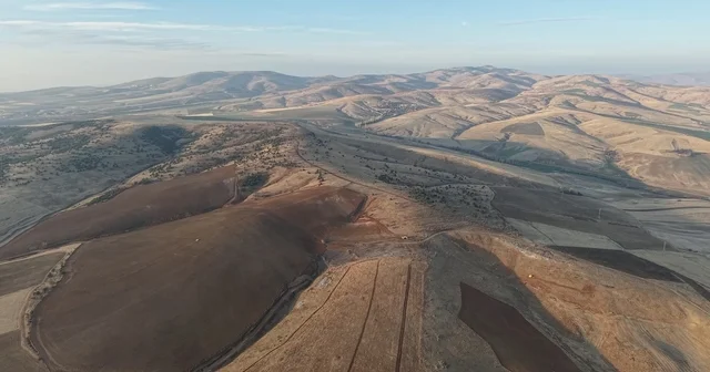 Yüzlerce ağacın kesilmesine vatandaşlardan tepki: 40 yılda büyüdü, 4 gün de yok edildi Kırıkkale Haberleri