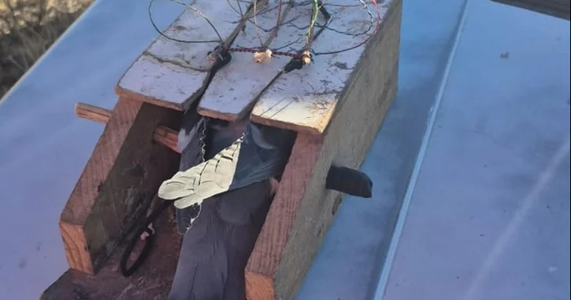 Kaçak şahin avlayan 2 kişiye 661 bin lira ceza