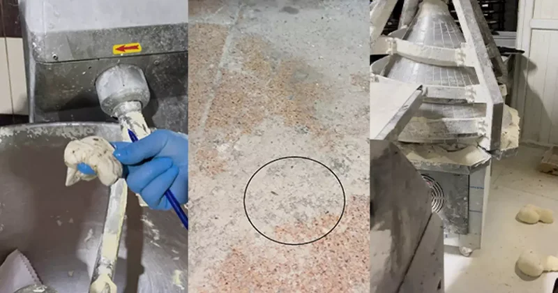 Fırına giren ekipler şoke oldu: Mide bulandıran görüntü! Böcek çeşidi saymakla bitmedi