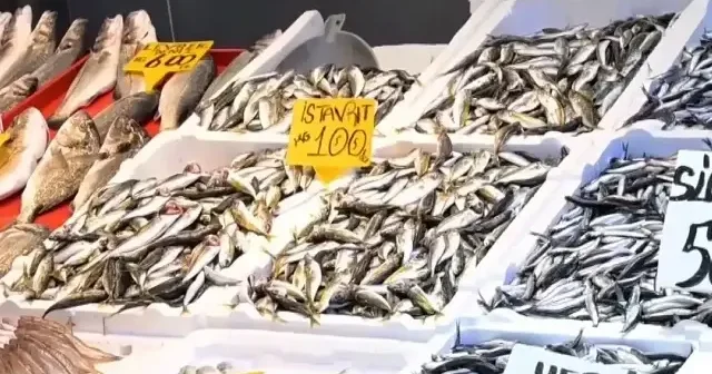 Balık fiyatları ne durumda? Hamsi ne kadar? Hamsi bolluğu tezgahları şenlendirdi VİDEO İZLE