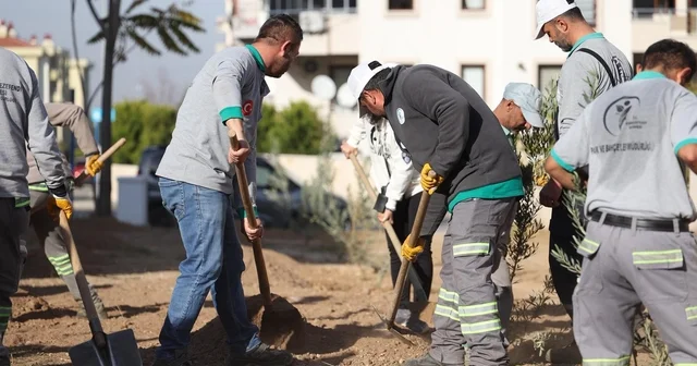 Başkan Doğan, Yeşili korumaya devam edeceğiz Denizli Haberleri