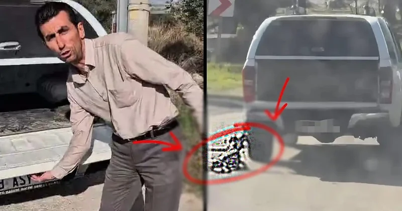 Muğla da vahşet anları! Köpeği katleden sürücüden skandal savunma