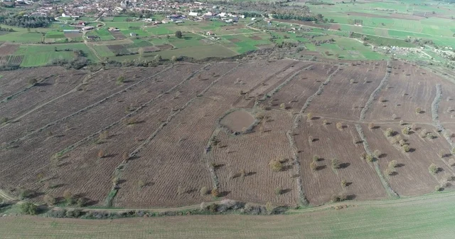 Biga da proje çerçevesinde 2 yılda 845 dekar mera alanı ıslah edildi Çanakkale Haberleri