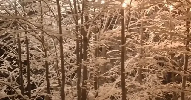 Rize de yüksek kesimler beyaza büründü VİDEO İZLE