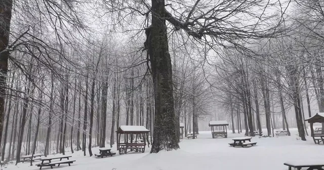 Kuzuyayla Tabiat Parkı nda kar manzarası Kocaeli Haberleri