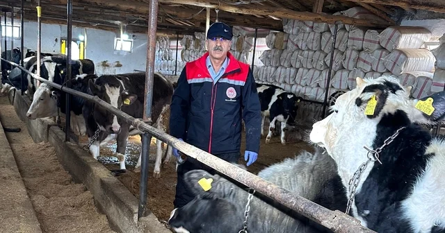 Beyşehir de hayvancılık faaliyetleri yakın takipte Konya Haberleri